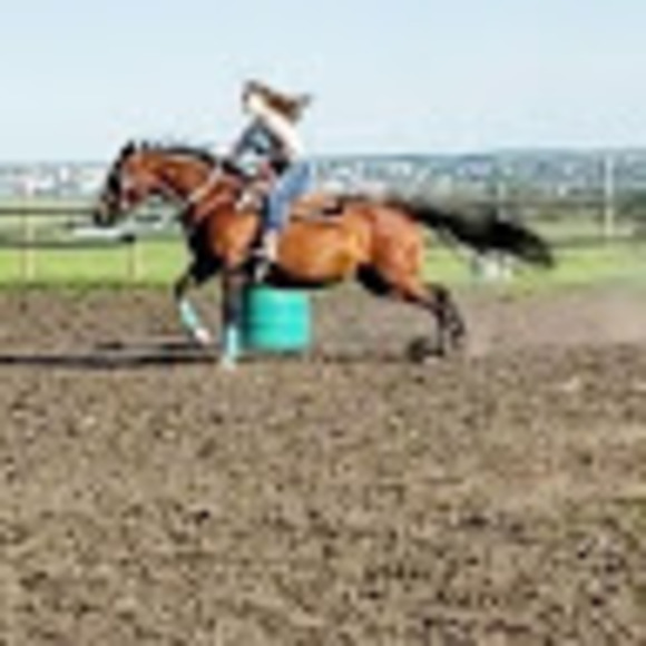 hsmallbones639